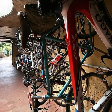 Otel Zi Martino Castagneto Carducci