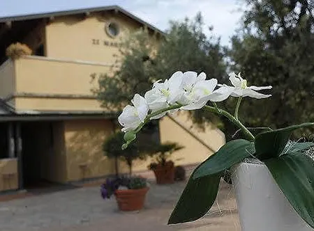 Zi Martino Otel Castagneto Carducci