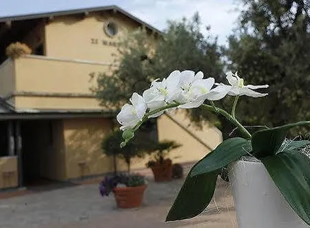 Zi Martino Hotel Castagneto Carducci